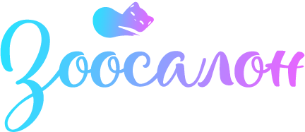 На главную